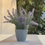 Apartman Bandera