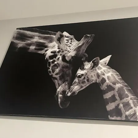 Bandera Jerez de la Frontera