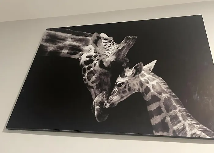 Bandera Jerez de la Frontera