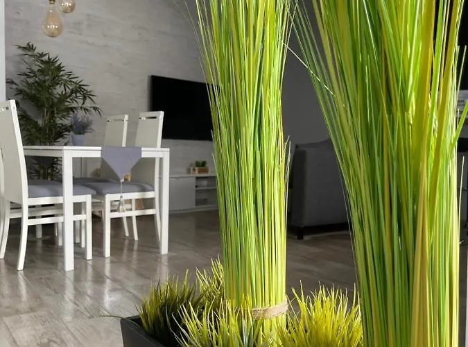 Bandera Jerez de la Frontera